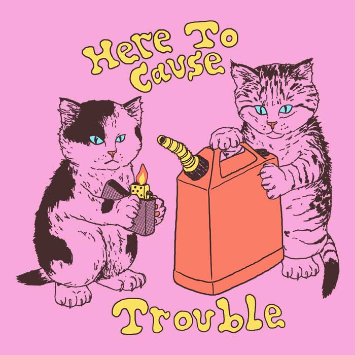 Hillary White's 'Here to Cause Trouble' Crewneck Sweatshirt for Men and Women