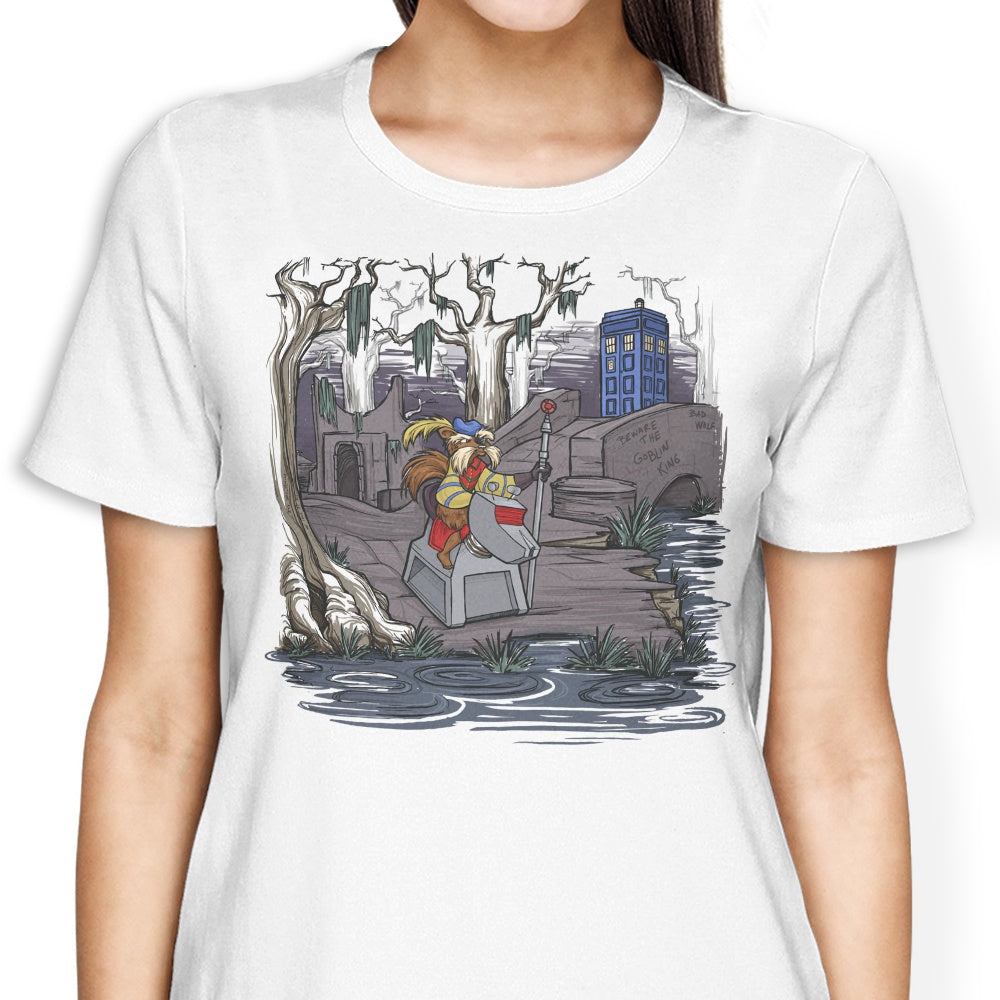 Who Shall Not Pass - Stylish Women's Apparel Collection Including T-Shirts