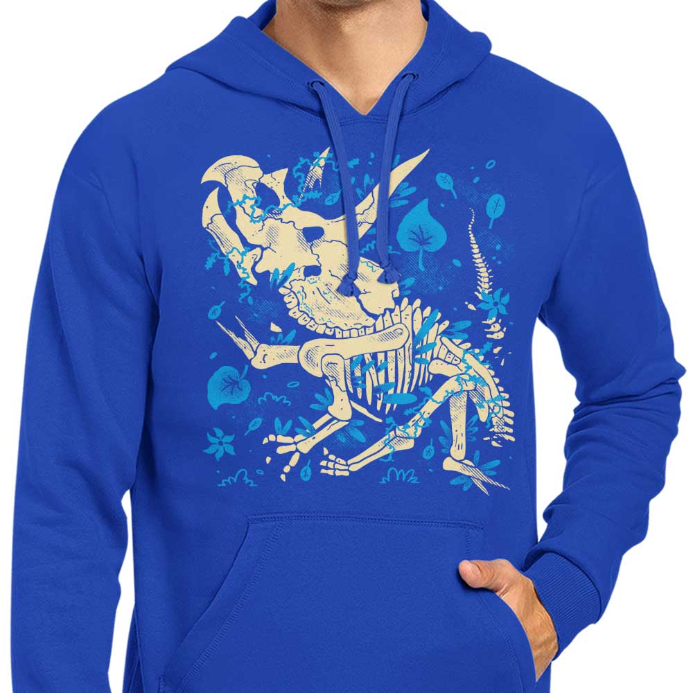 Stylish Triceratops Fossils Inspired Hoodie