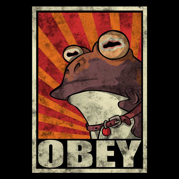Obey - Stylish Women's T-Shirts in Various Sizes