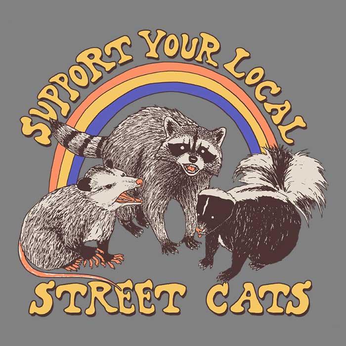 Fashionable Women's Apparel Collection by Street Cats