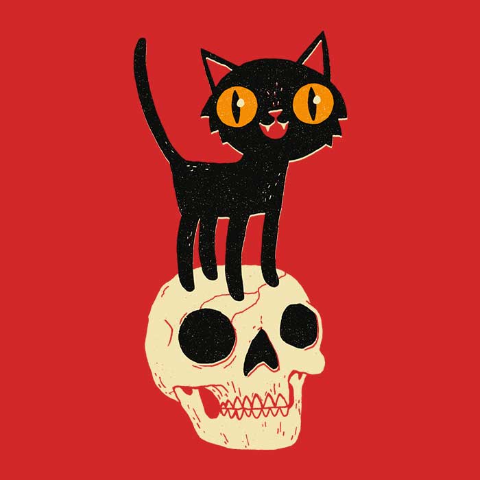 Fashionable Women's Apparel - 'What the Cat Dragged In' Collection